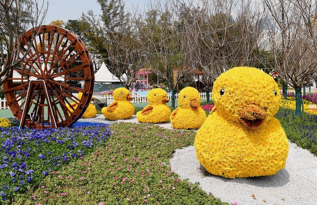 Hong Kong, Çiçek Festivali'ne Hazırlanıyor Hong Kong, Çiçek Festivali'ne Hazırlanıyor