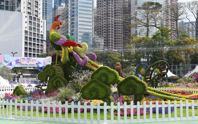 Hong Kong, Çiçek Festivali'ne Hazırlanıyor Hong Kong, Çiçek Festivali'ne Hazırlanıyor