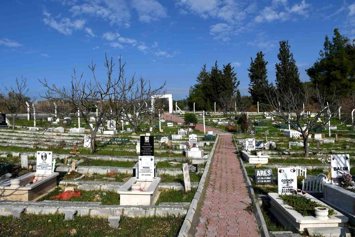 Kahraman köpek Proteo\'nun ismi Kuşadası\'nda yaşayacak