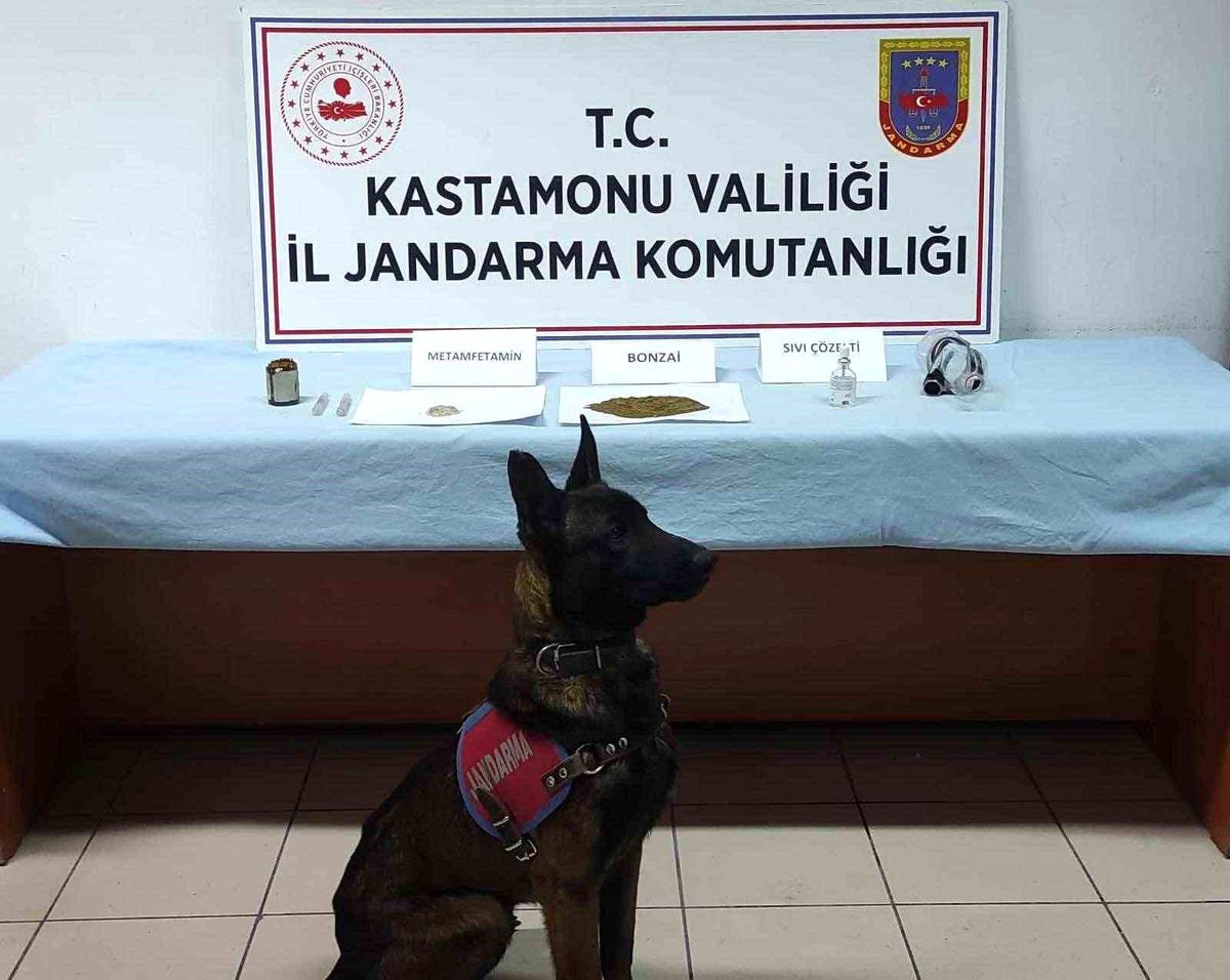 Kastamonu\'da uyuşturucu operesyonu: 1 gözaltı