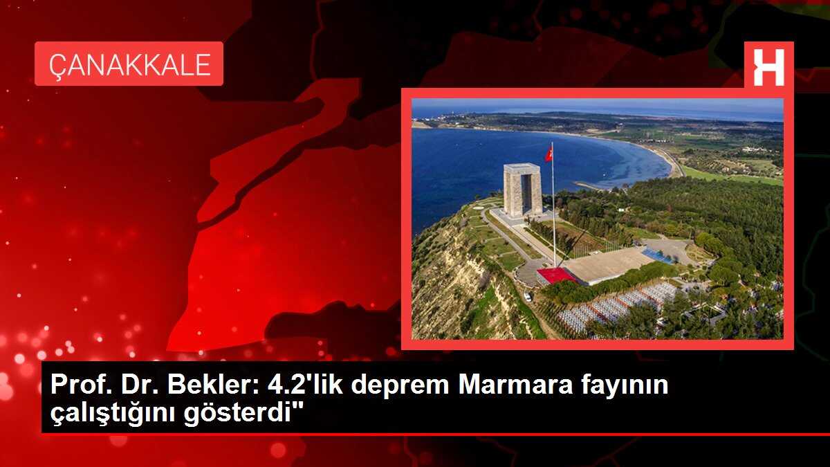 Prof. Dr. Bekler: 4.2'lik deprem Marmara fayının çalıştığını gösterdi'