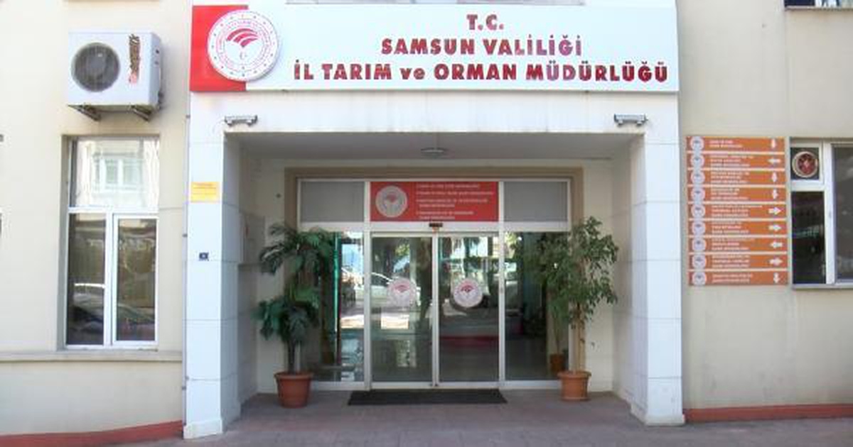 Samsun\'da şap hastalığı tedbiri: Tüm hayvan pazarları kapatıldı