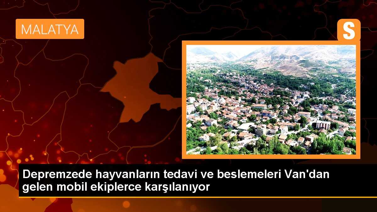Depremzede hayvanların tedavi ve beslemeleri Van\'dan gelen mobil ekiplerce karşılanıyor