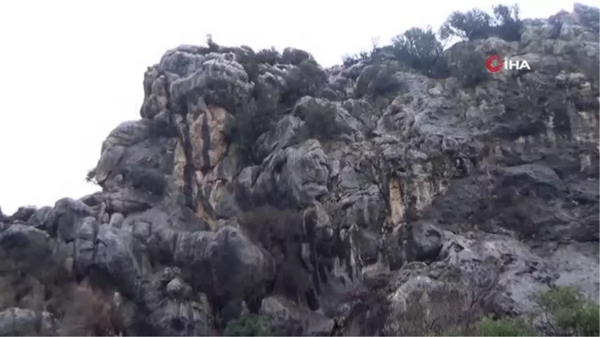 Dev kaya bir mahallenin kabusu oldu