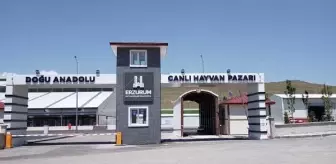 Doğu Anadolu Canlı Hayvan Pazarı kapatıldı
