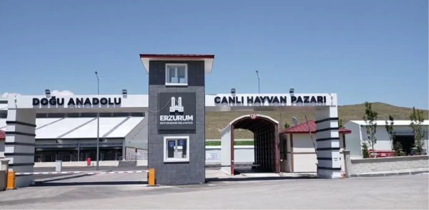 Doğu Anadolu Canlı Hayvan Pazarı kapatıldı