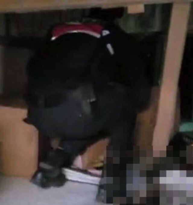Dubleks dairede bulunan gizli geçit jandarmayı şaşırttı Dubleks dairede bulunan gizli geçit jandarmayı şaşırttı