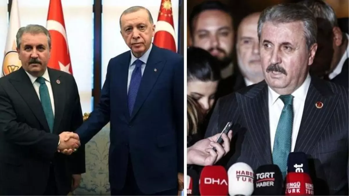 Erdoğan\'la görüşen Destici, Kızılay Başkanı\'na bir kez daha istifa çağrısı yaptı