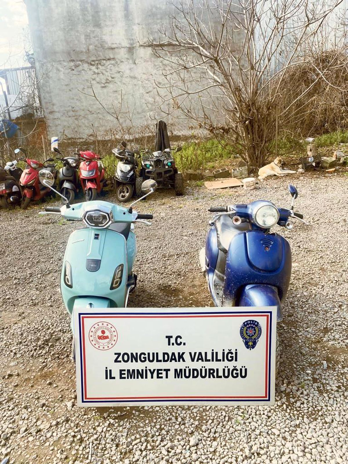 Ereğli'de motosiklet hırsızı tutuklandı