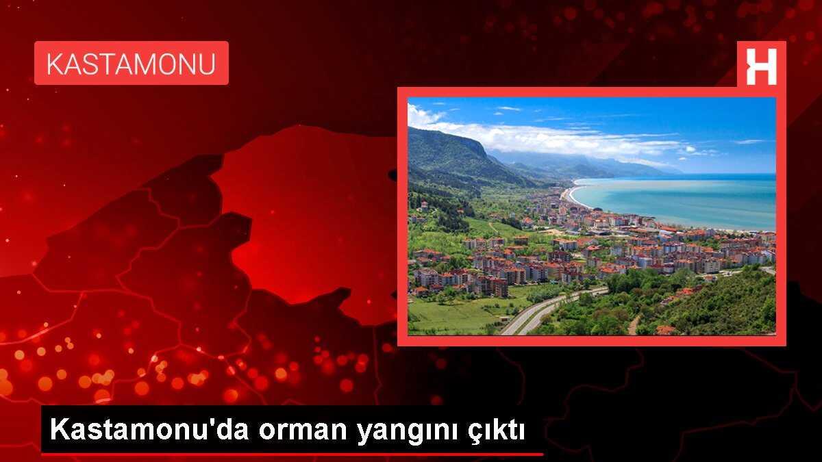 Kastamonu'da orman yangını çıktı