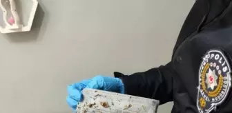 Kastamonu'da uyuşturucu operasyonu: 50 gözaltı