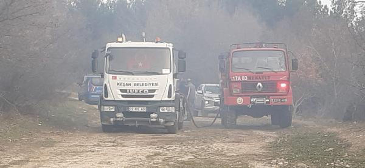 Keşan\'da orman yangını