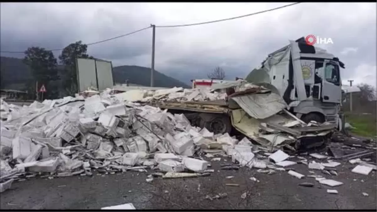 Muğla\'da balık yüklü tırın kaza yaptı: Sürücü yaralandı, tonlarca balık yola döküldü