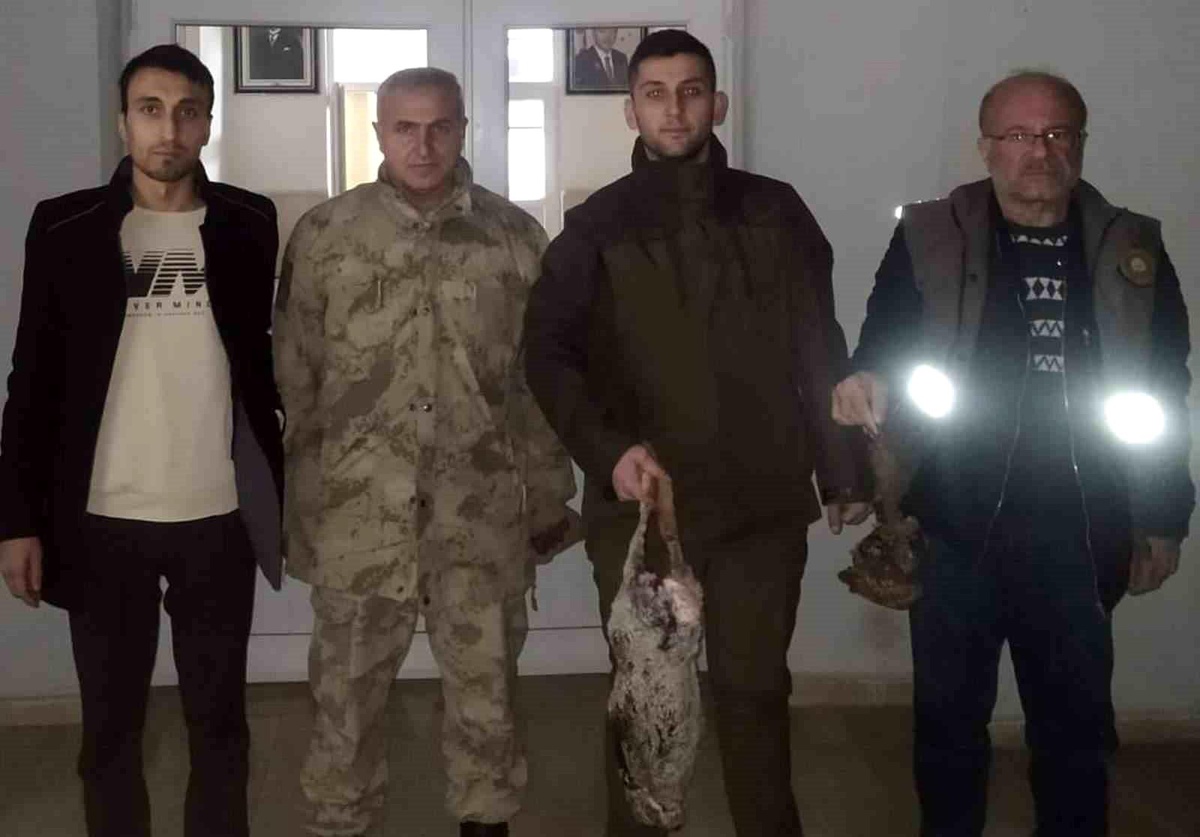 Siirt\'te kaçak avcılara geçit yok
