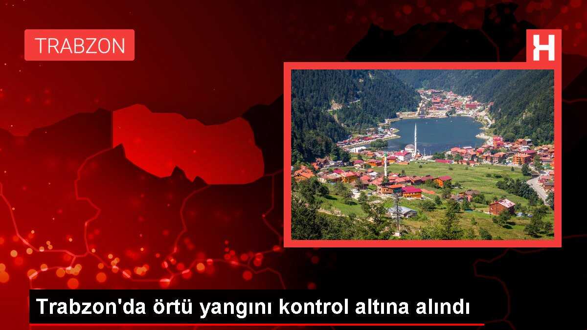 Trabzon'da örtü yangını kontrol altına alındı