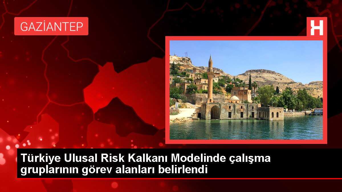 Türkiye Ulusal Risk Kalkanı Modelinde çalışma gruplarının görev alanları belirlendi