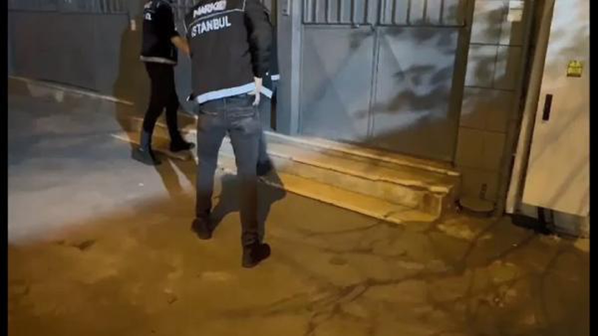 Ümraniye\'de uyuşturucu operasyonu: 241 kilogram esrar, bin 550 kök kenevir ele geçirildi
