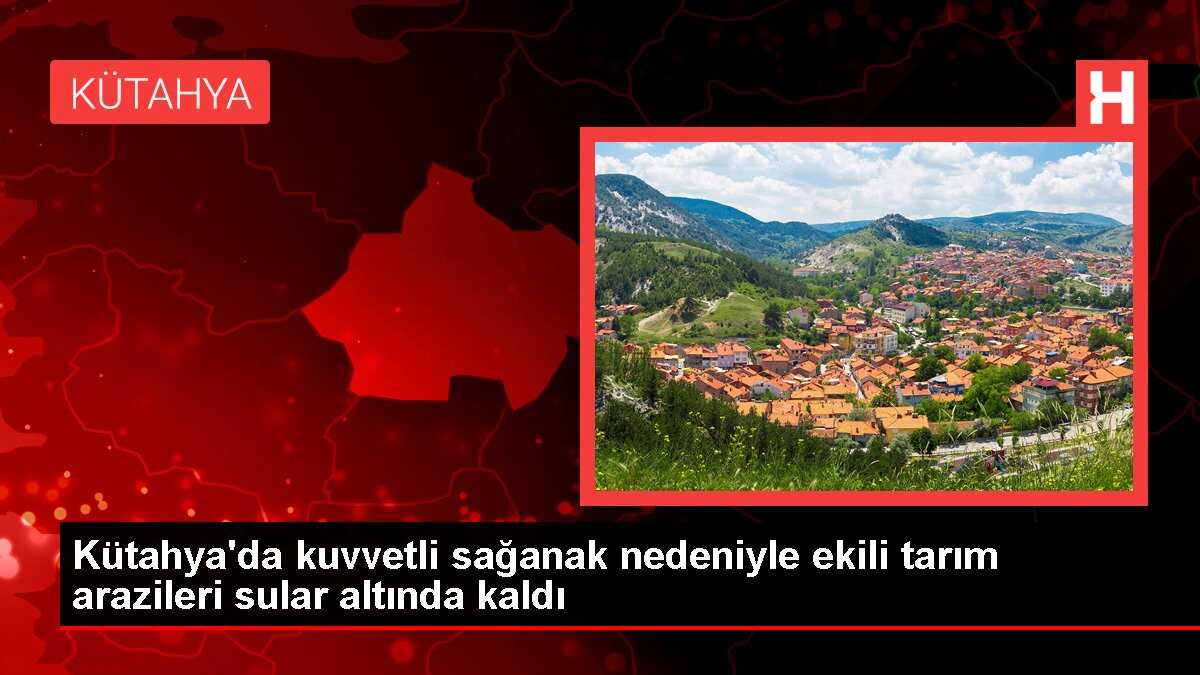 Kütahya'da kuvvetli sağanak nedeniyle ekili tarım arazileri sular altında kaldı