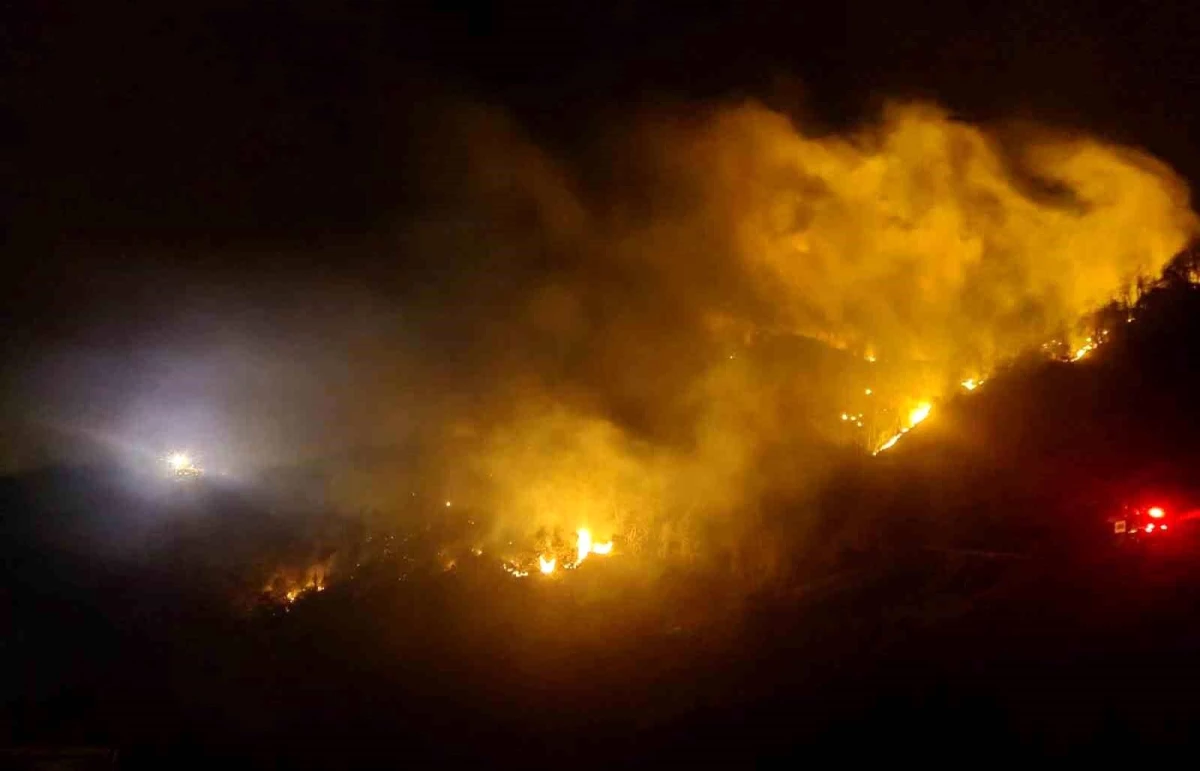 Trabzon Of\'ta çıkan orman yangını kısmen kontrol altına alındı