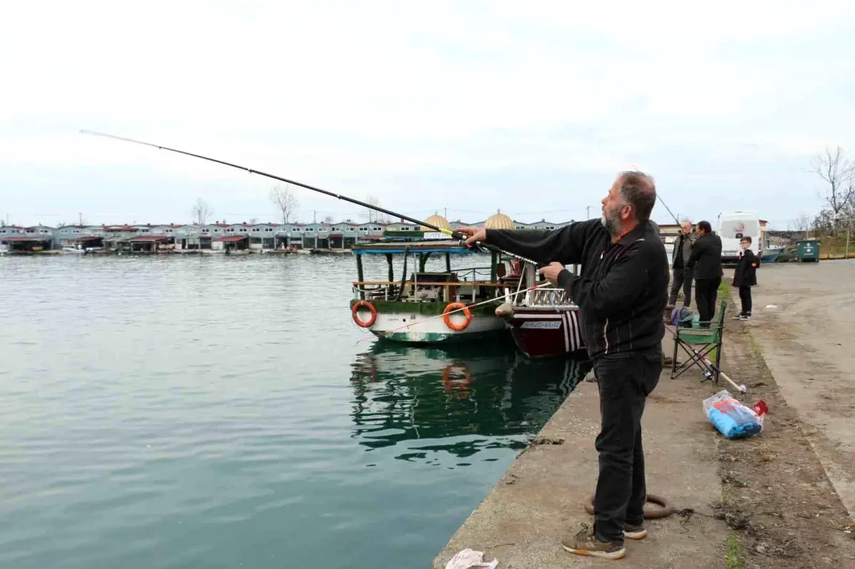 Trabzon\'un kaçak somonları Rizeliler\'in yüzünü güldürüyor