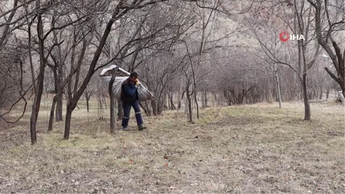 Bahçelerde bahar temizliği erken başladı