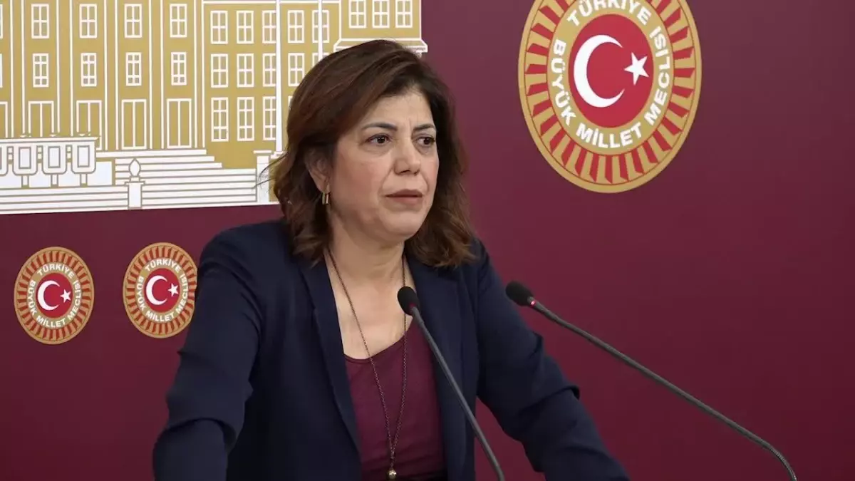 Meral Danış Beştaş, Kadına Şiddetin Önlenmesi Yasasıyla İlgili Tartışmaları Değerlendirdi: "Bu Geriye Gidişe Asla Türkiye Toplumu, Halkları İzin...