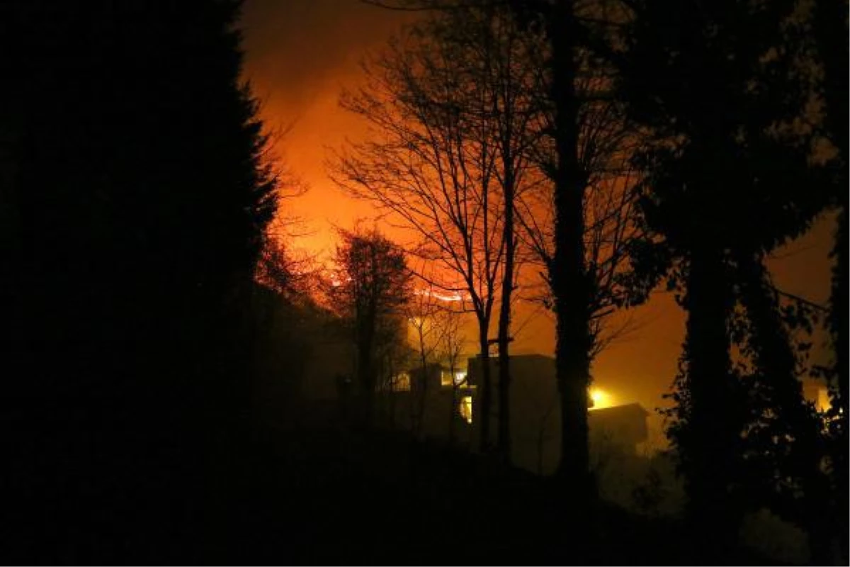 Trabzon\'da geniş alana yayılan örtü yangını söndürüldü