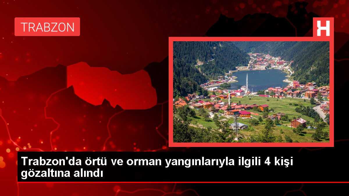 Trabzon'da örtü ve orman yangınlarıyla ilgili 4 kişi gözaltına alındı