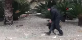 Yaban keçisi özgürlüğe böyle zıpladı