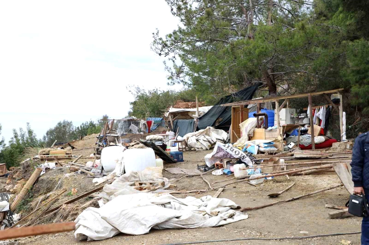 Alanya\'da hazine arazisini işgal eden baraka boşaltıldı