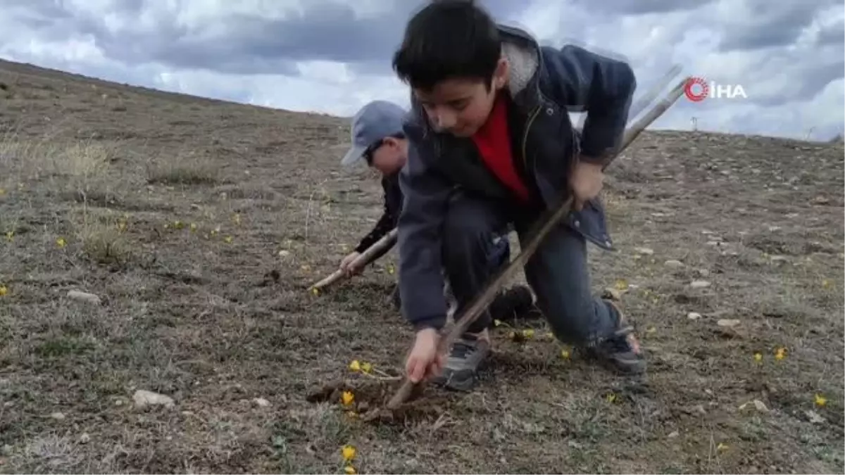 Doğa canlandı, ortaya kartpostallık görüntüler çıktı