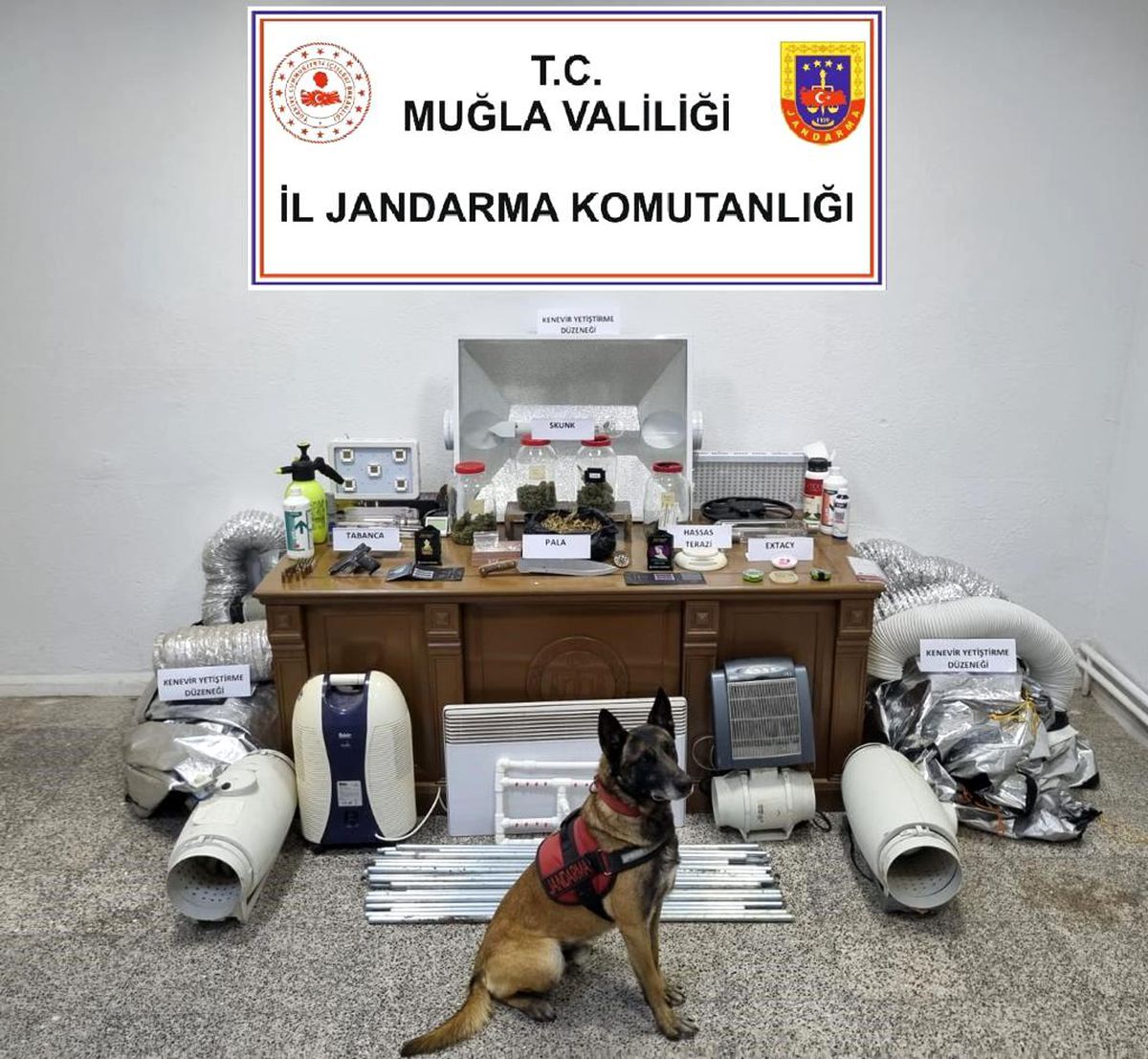 Evini uyuşturucu tarlasına çevirmiş