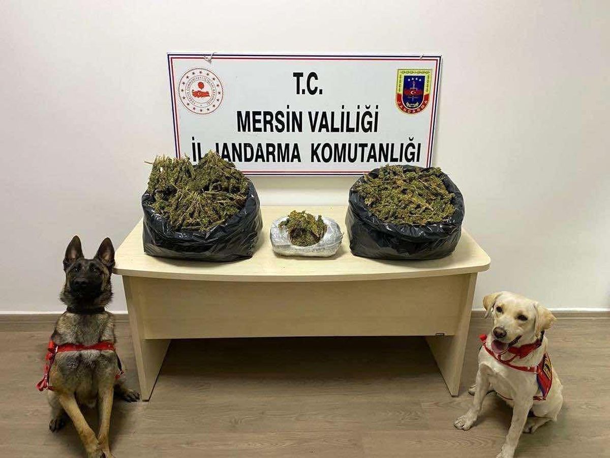 Mersin\'de uyuşturucu operasyonu: 2 gözaltı