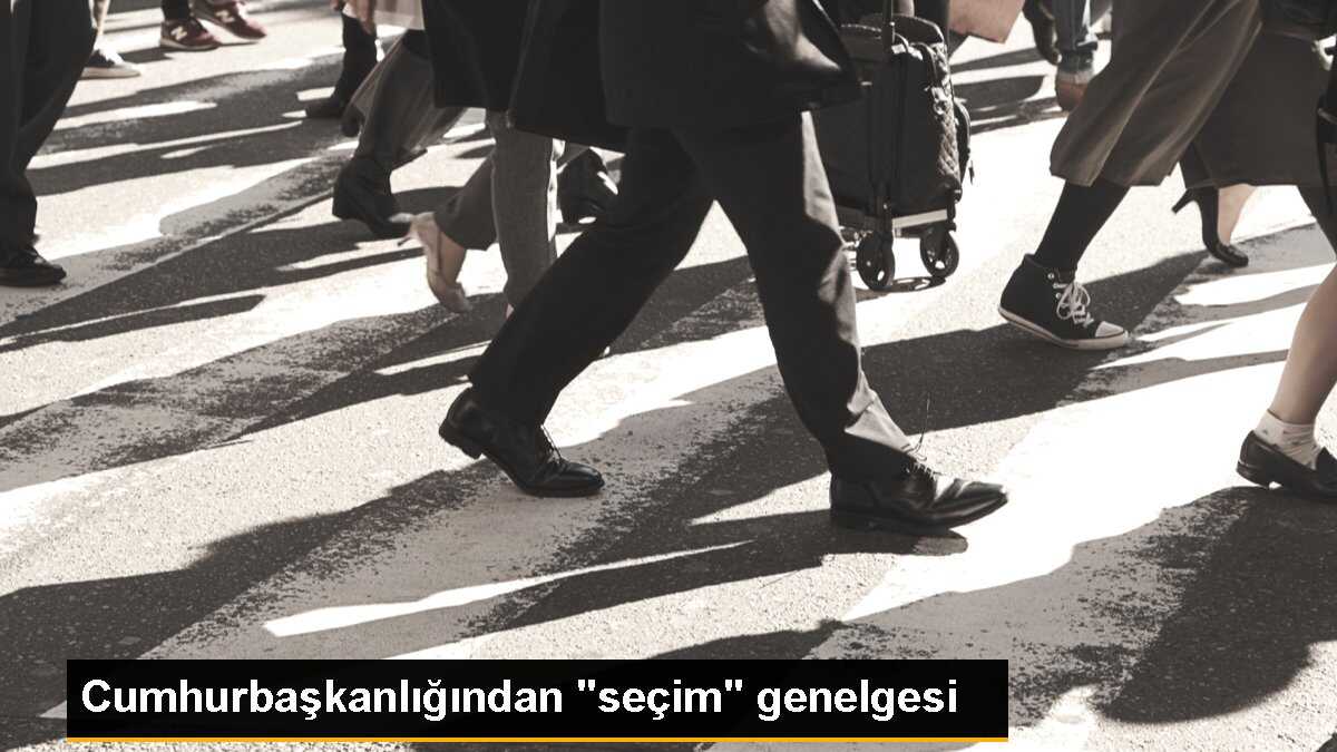Seçime ilişkin Cumhurbaşkanlığı Genelgesi, Resmi Gazete\'de