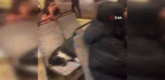 Duyarlı davranış vatandaşlardan tam not aldı