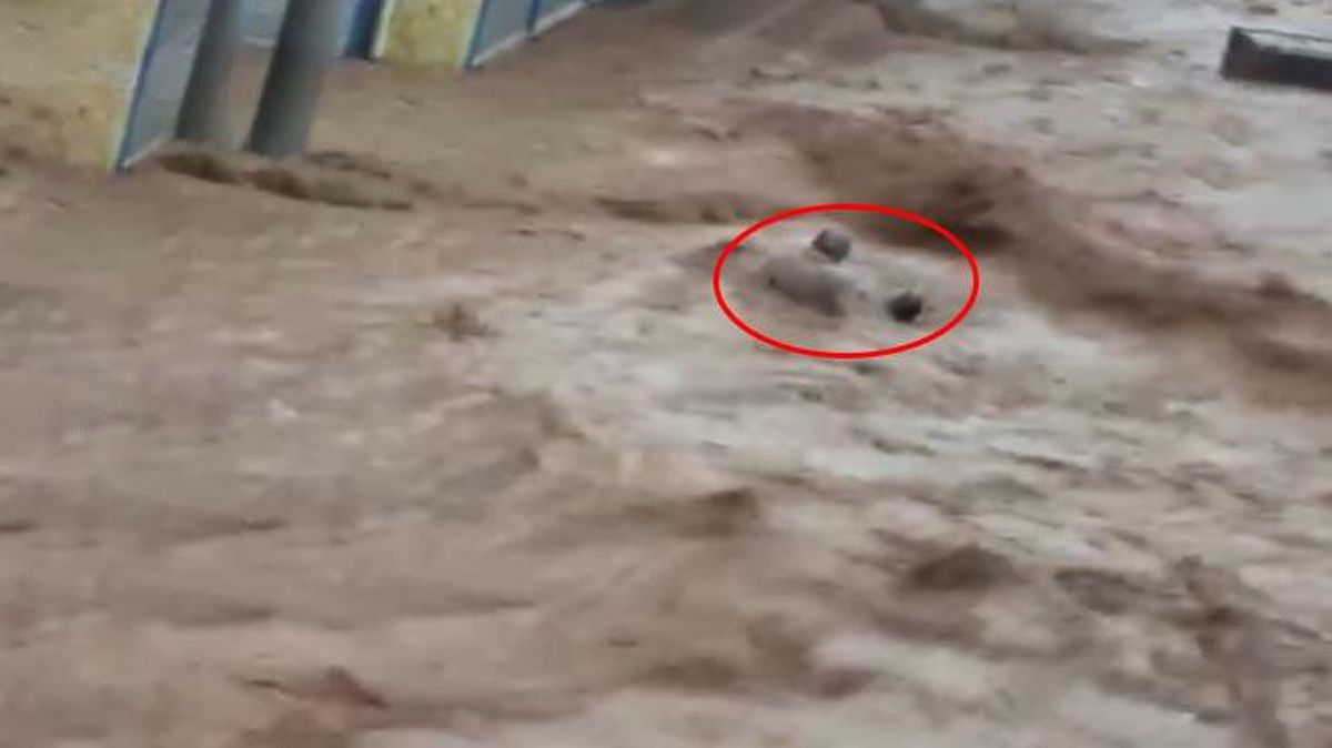 Şanlıurfa'da sel sularına kapılarak sürüklenen vatandaş kamerada