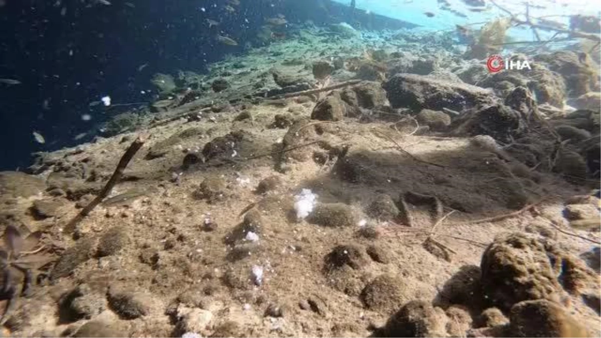 Antalya\'nın göbeğinde 35 metre derinlikteki obrukta çok sayıda tatlı su canlısı tespit edildi