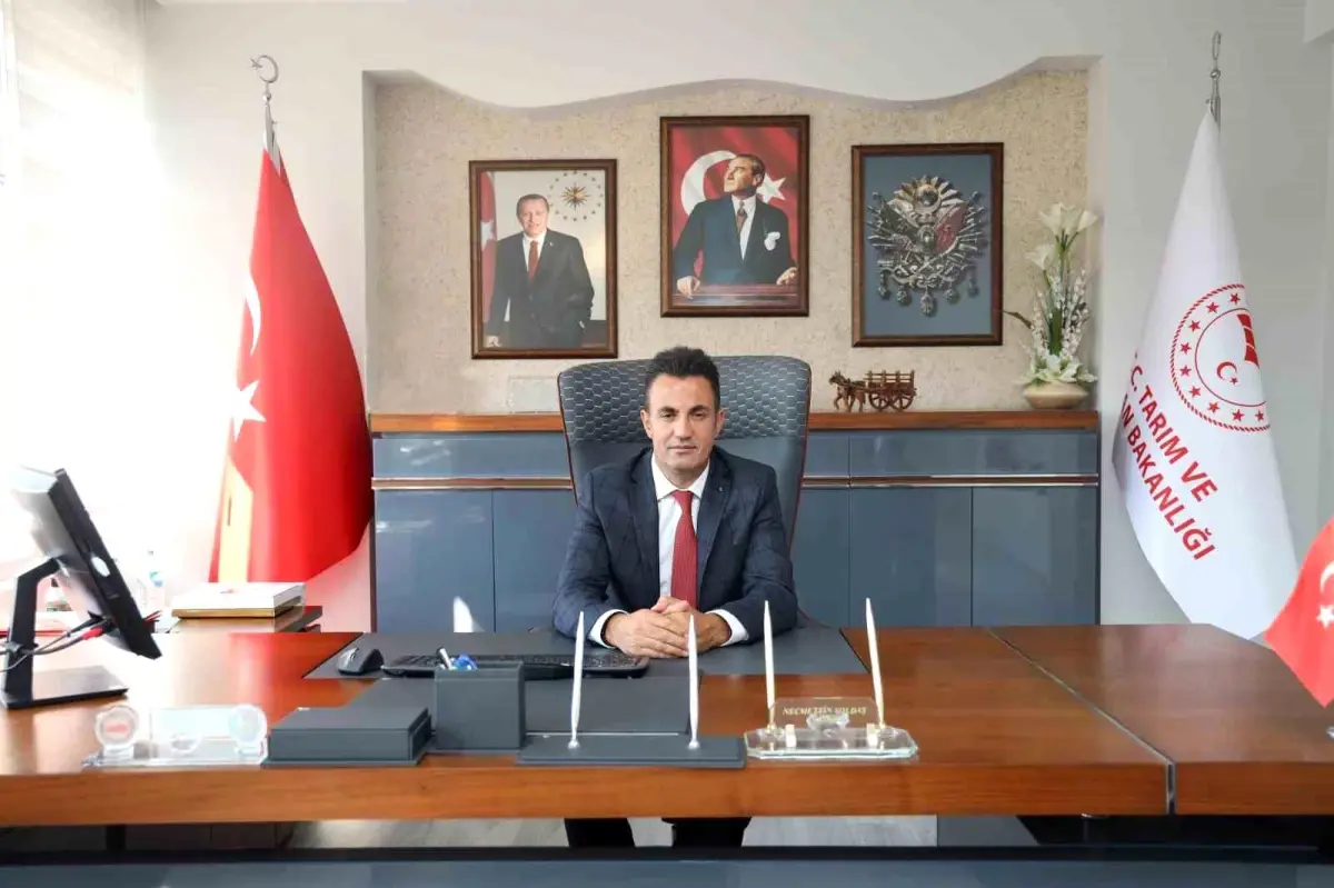 Bilecik iç sularında av yasağı başladı