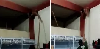 Brezilya'da ilginç olay! Marketi soymak için açtığı delikte sıkışan hırsız, acımasızca dövüldü