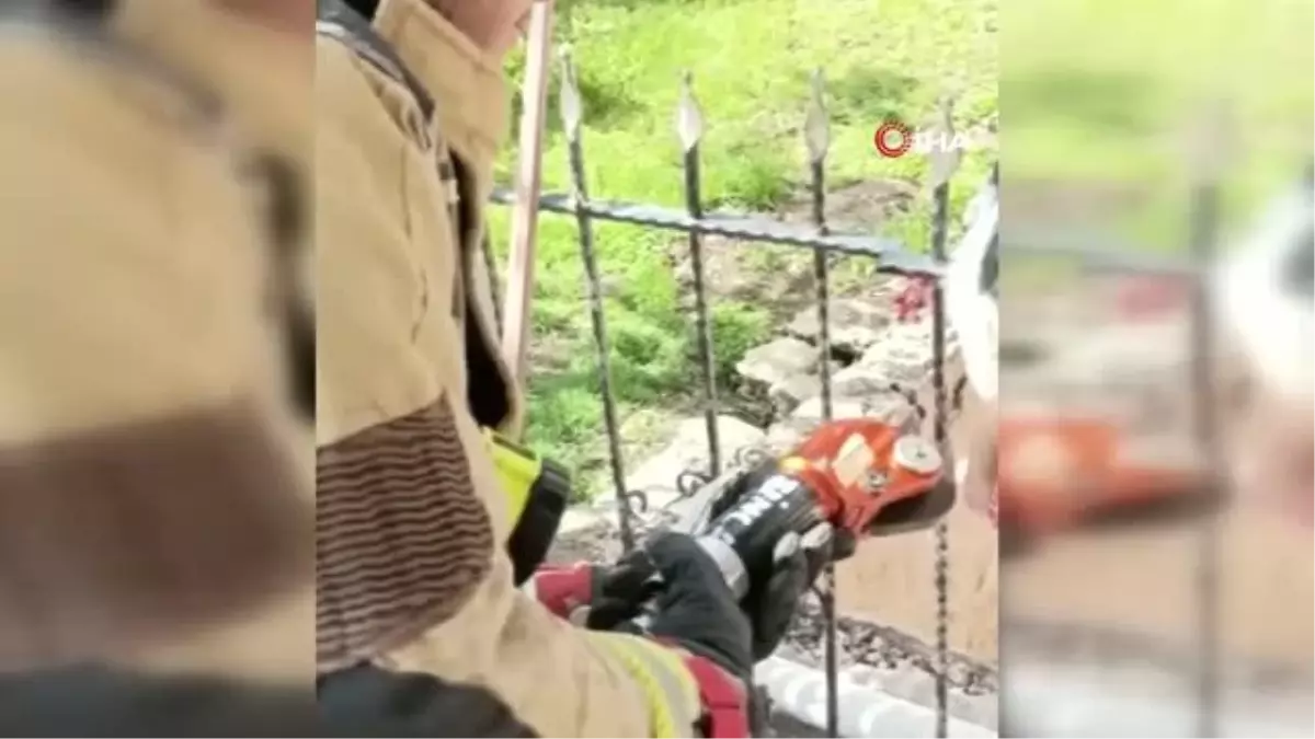 Demir parmaklıklara sıkışan kedi böyle kurtarıldı