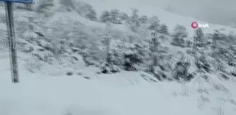 Denizli, Mart ayının ortasında yağan karla beyaza büründü