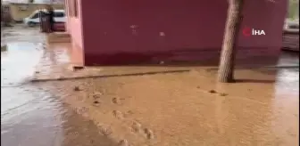 Kızıltepe'de sel eğitimi de vurdu, sınıflar çamur içinde kaldı