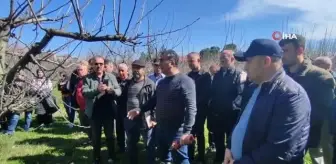 Bartın'da çiftçilere budama eğitimi, doğru verim alma yöntemleri anlatıldı