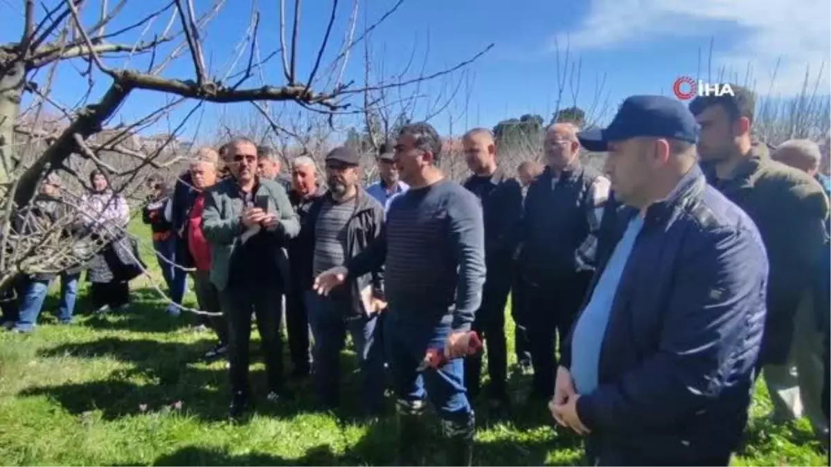 Bartın'da çiftçilere budama eğitimi, doğru verim alma yöntemleri anlatıldı