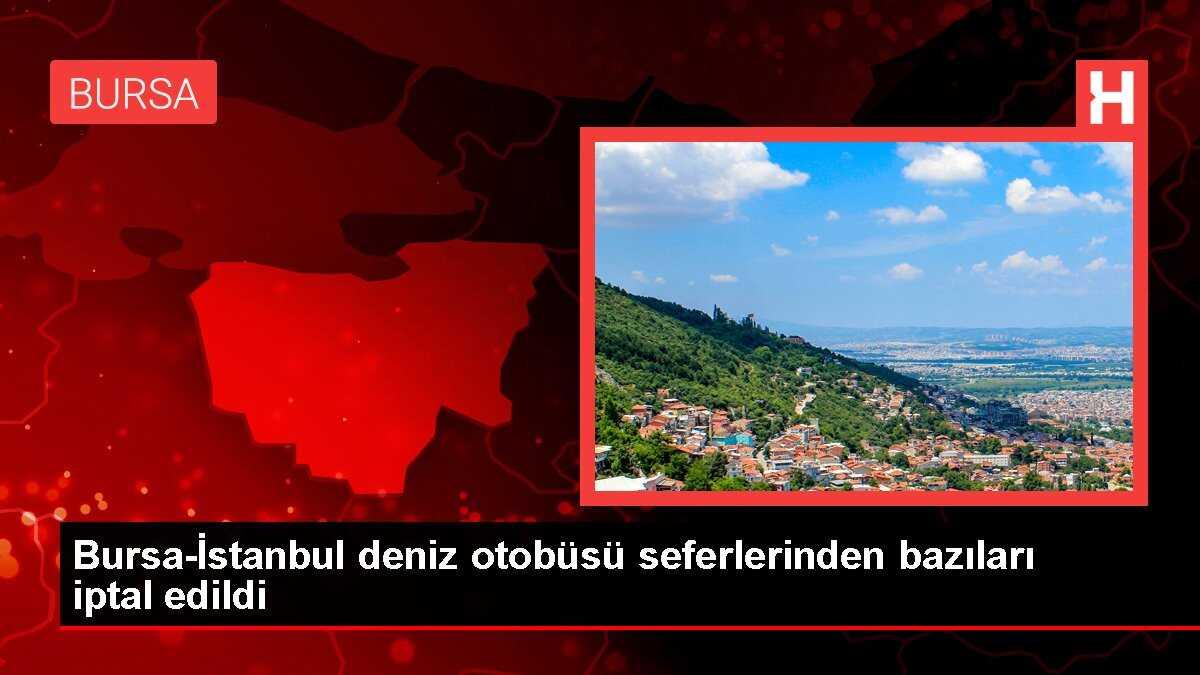 Bursa-İstanbul deniz otobüsü seferlerinden bazıları iptal edildi