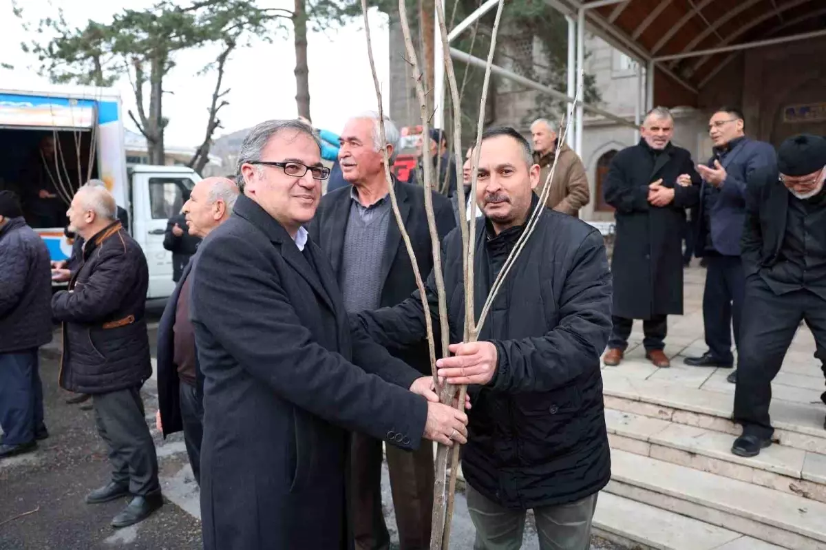 Fidan belediyeden meyve vatandaştan