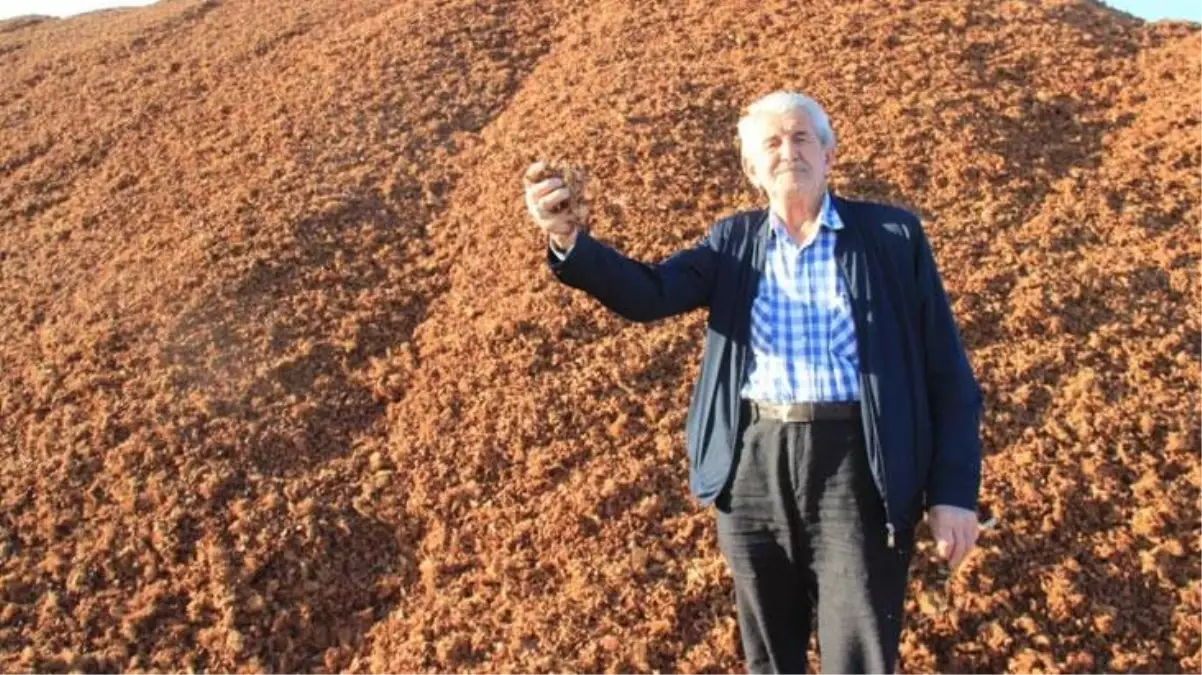 Kömür fiyatları arttı, çam fıstığı kabukları kıymete bindi