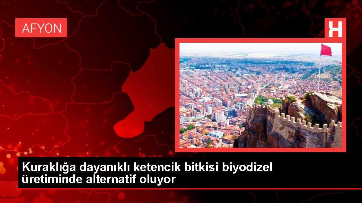 Kuraklığa dayanıklı ketencik bitkisi biyodizel üretiminde alternatif oluyor