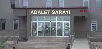 Sahaya girip Fiorentinalı futbolcuya saldıran 2 taraftar tutuklandı