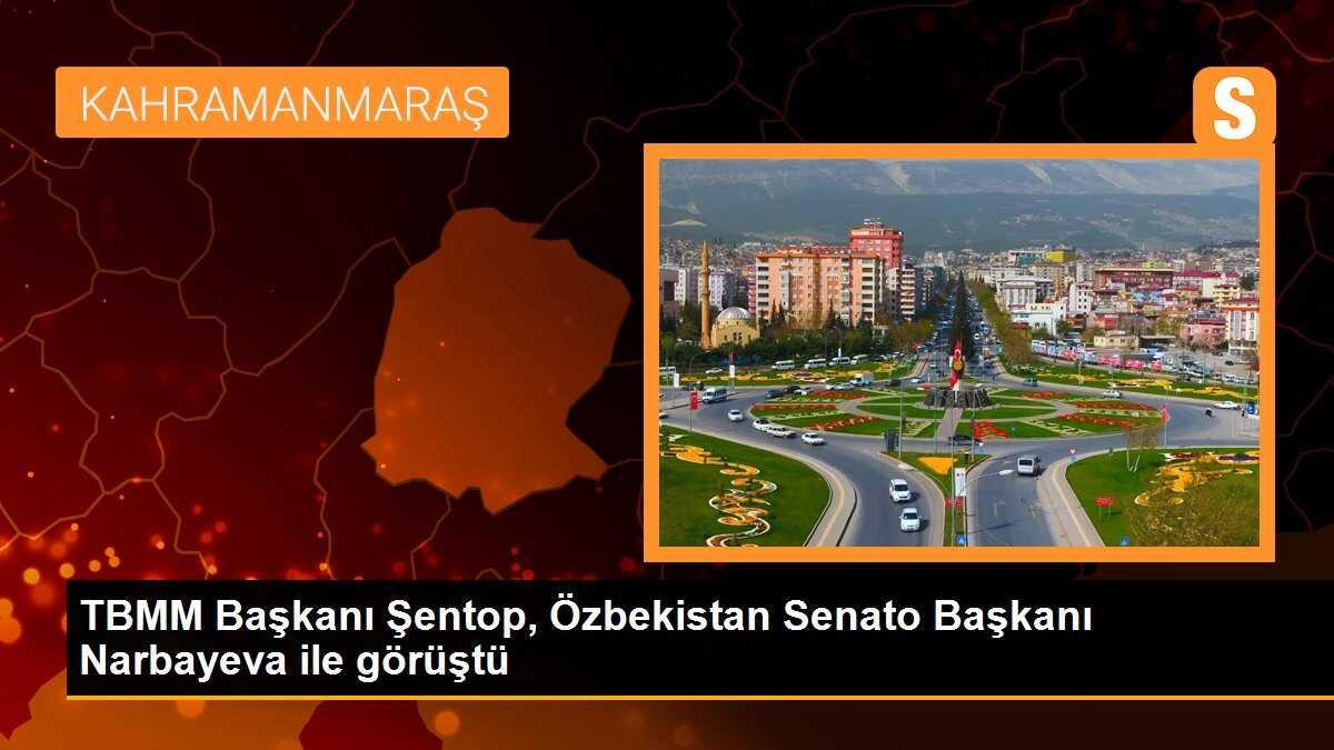 TBMM Başkanı Şentop, Özbekistan Senato Başkanı Narbayeva ile görüştü